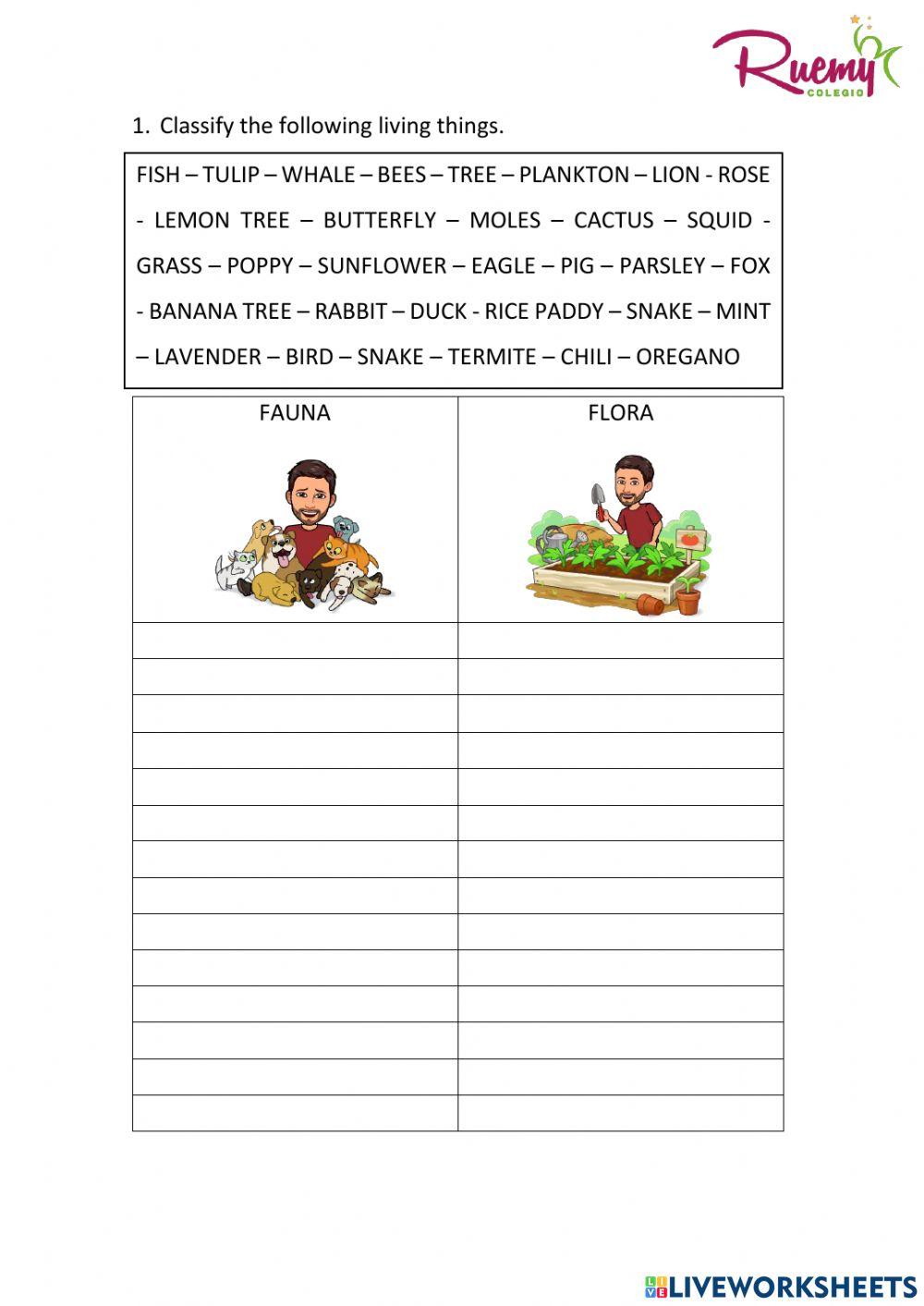 Classification the biosphere