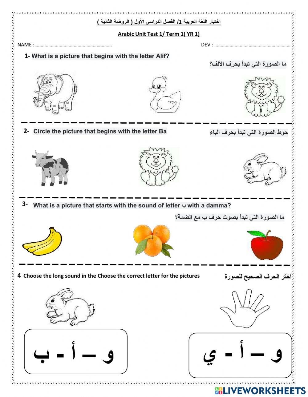 Arabic Revision