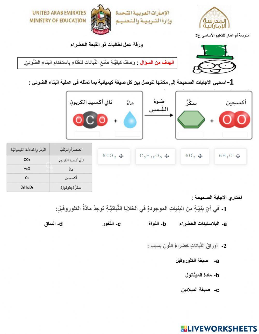 البناء الضوئي 1