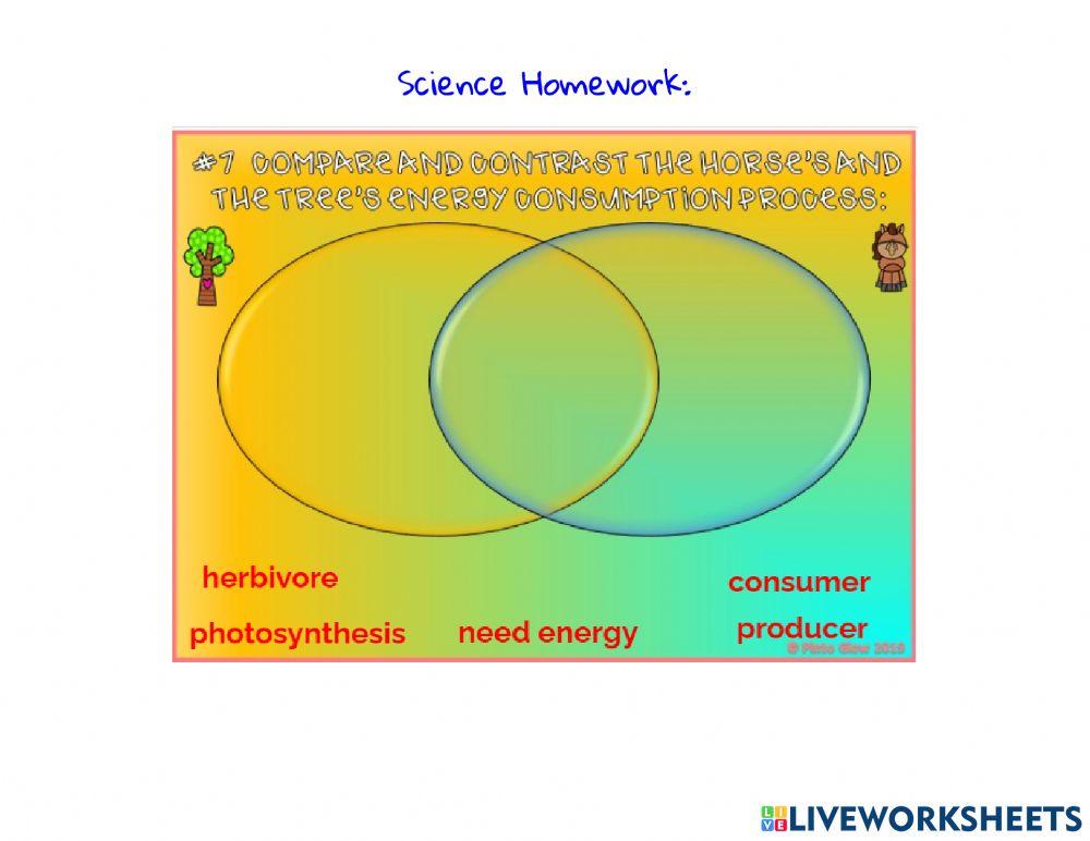 Homework Week 9 Day 3