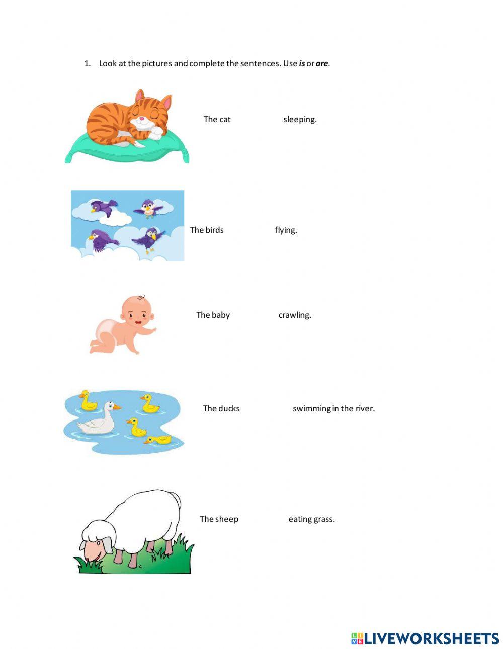 What are they doing?