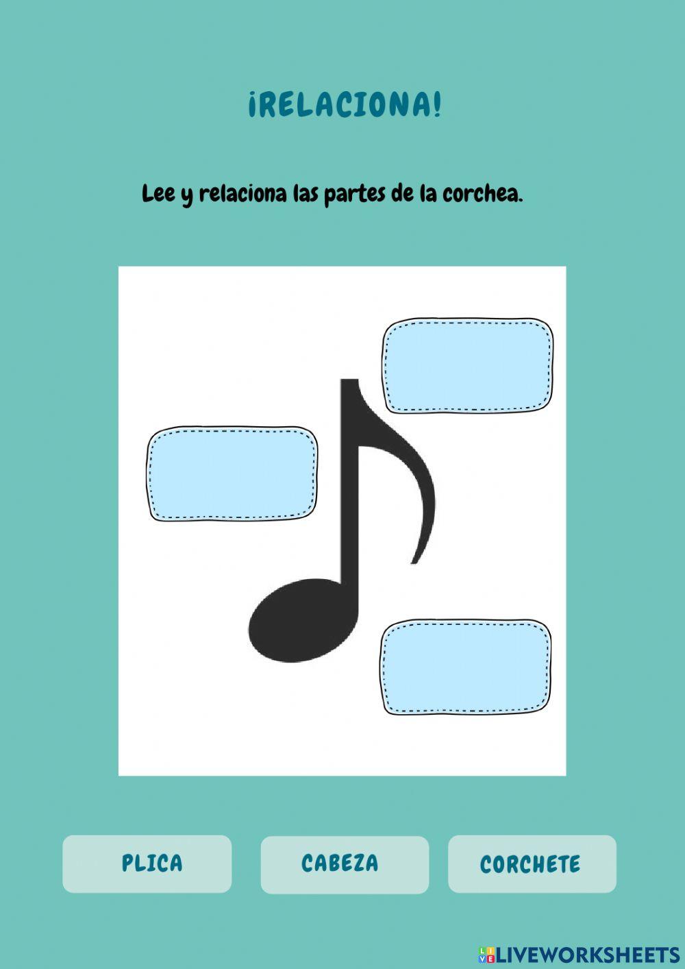 Partes de la corchea