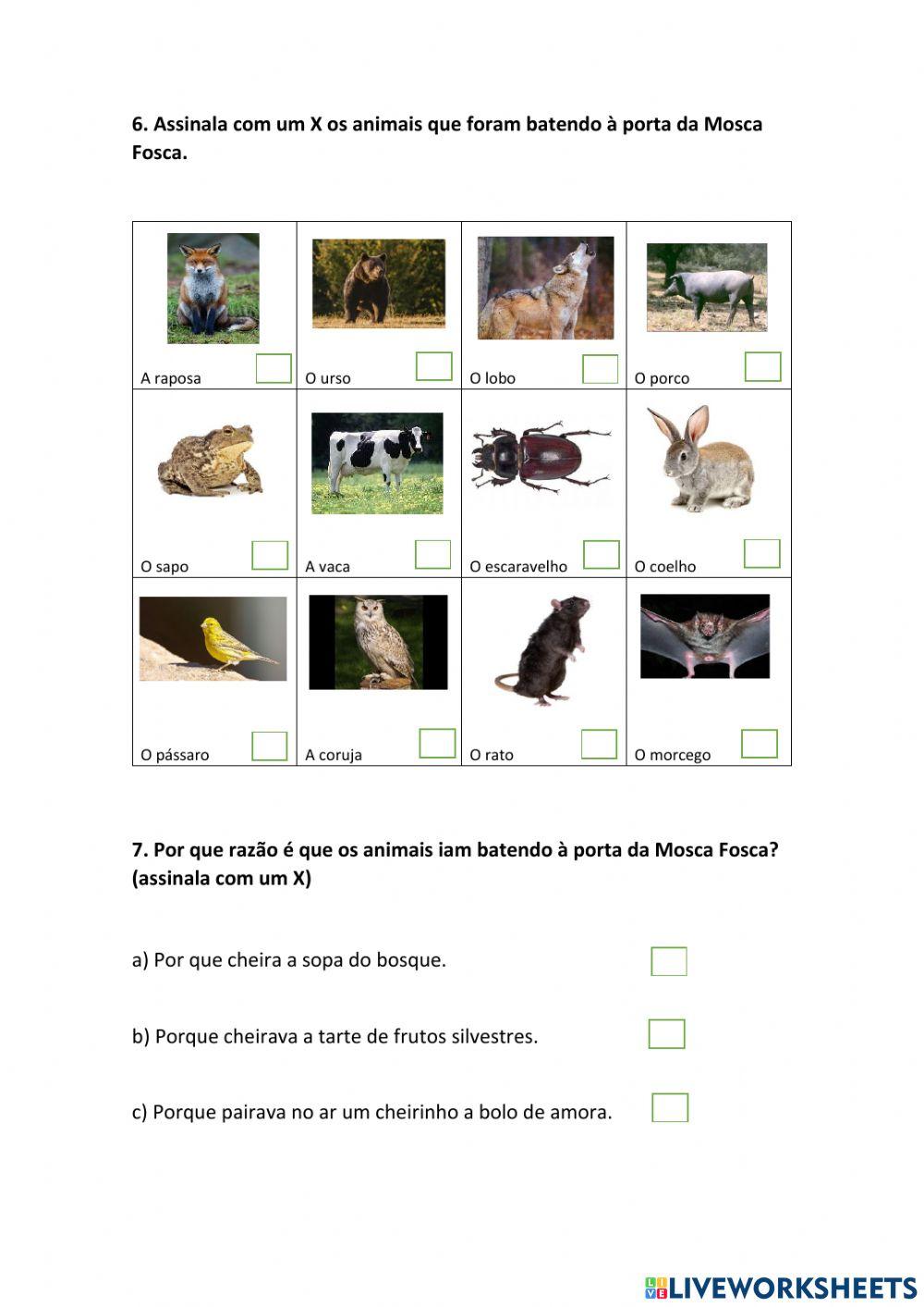 História da Mosca Fosca