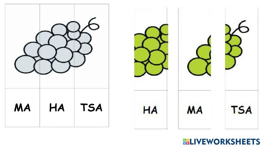 Mp patroia jolas silabikoak