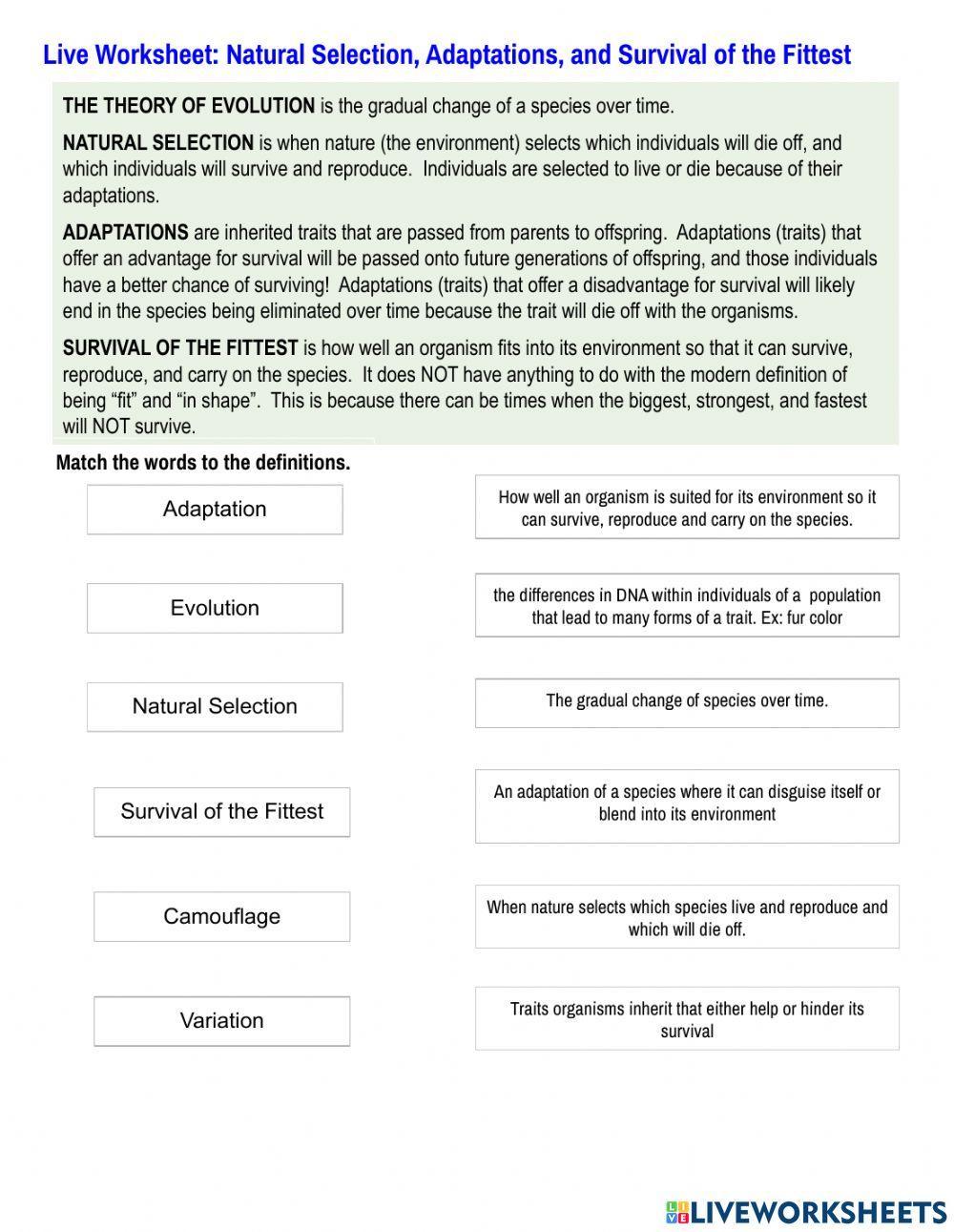 Natural Selection, Adaptations, & Survival of the Fittest