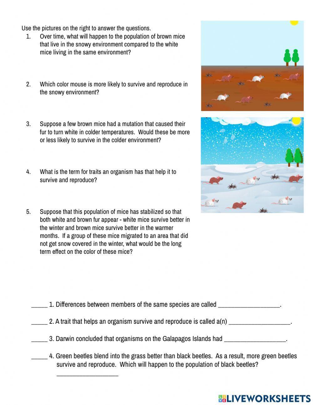 2207182 natural selection adaptations survival of