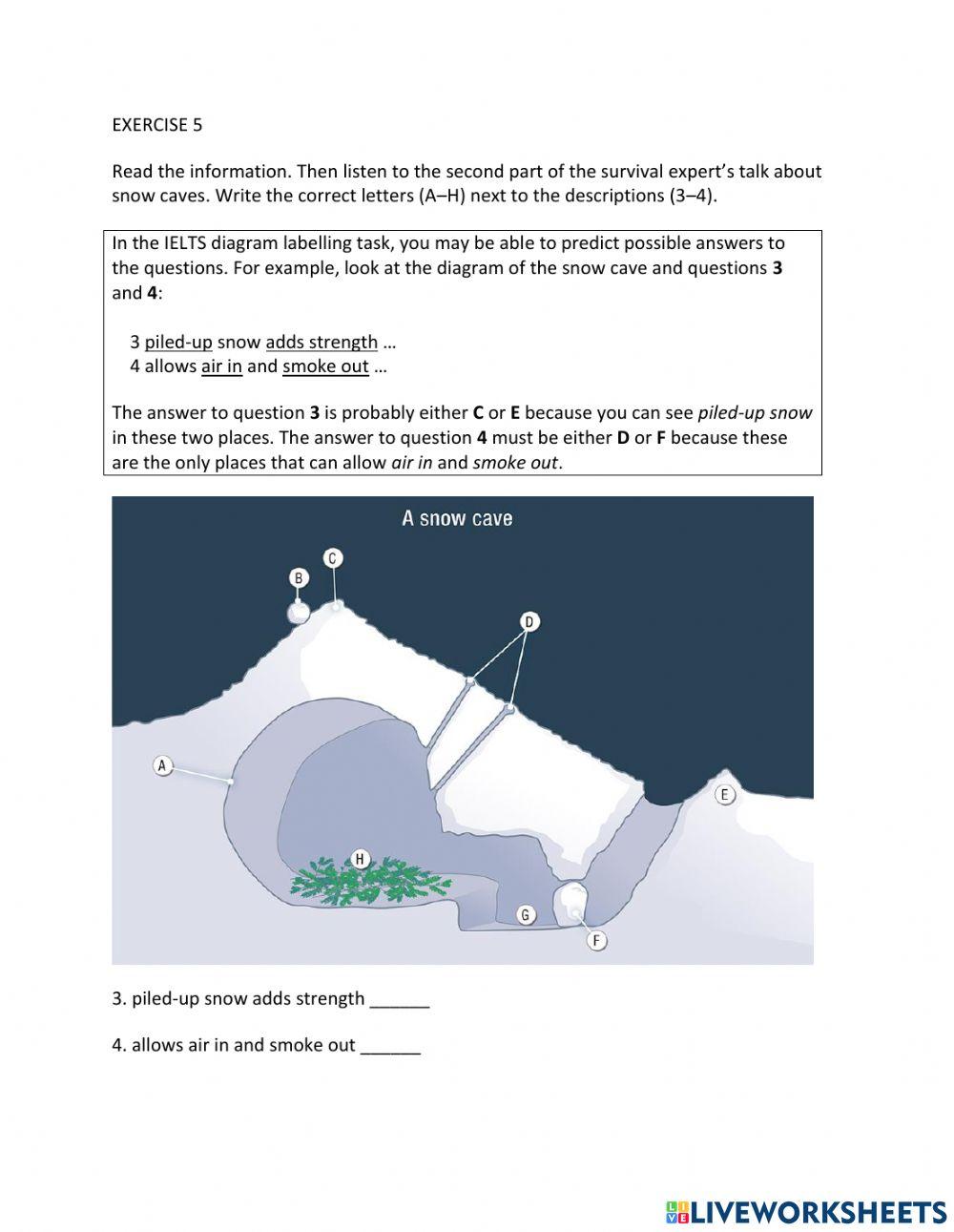IE1, Unit 7, Listening, Exercise 5