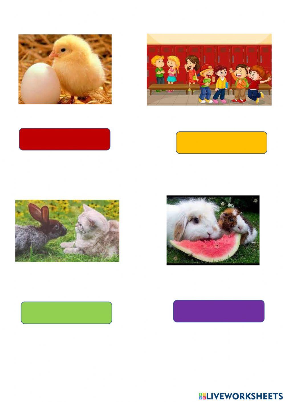 Relaciona la imagen con su función vital