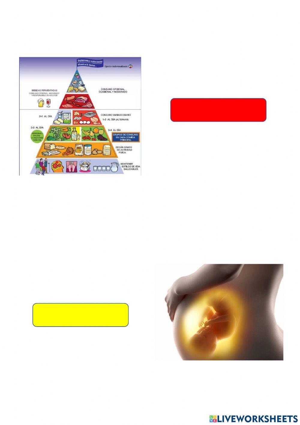 Relaciona la imagen con su función vital