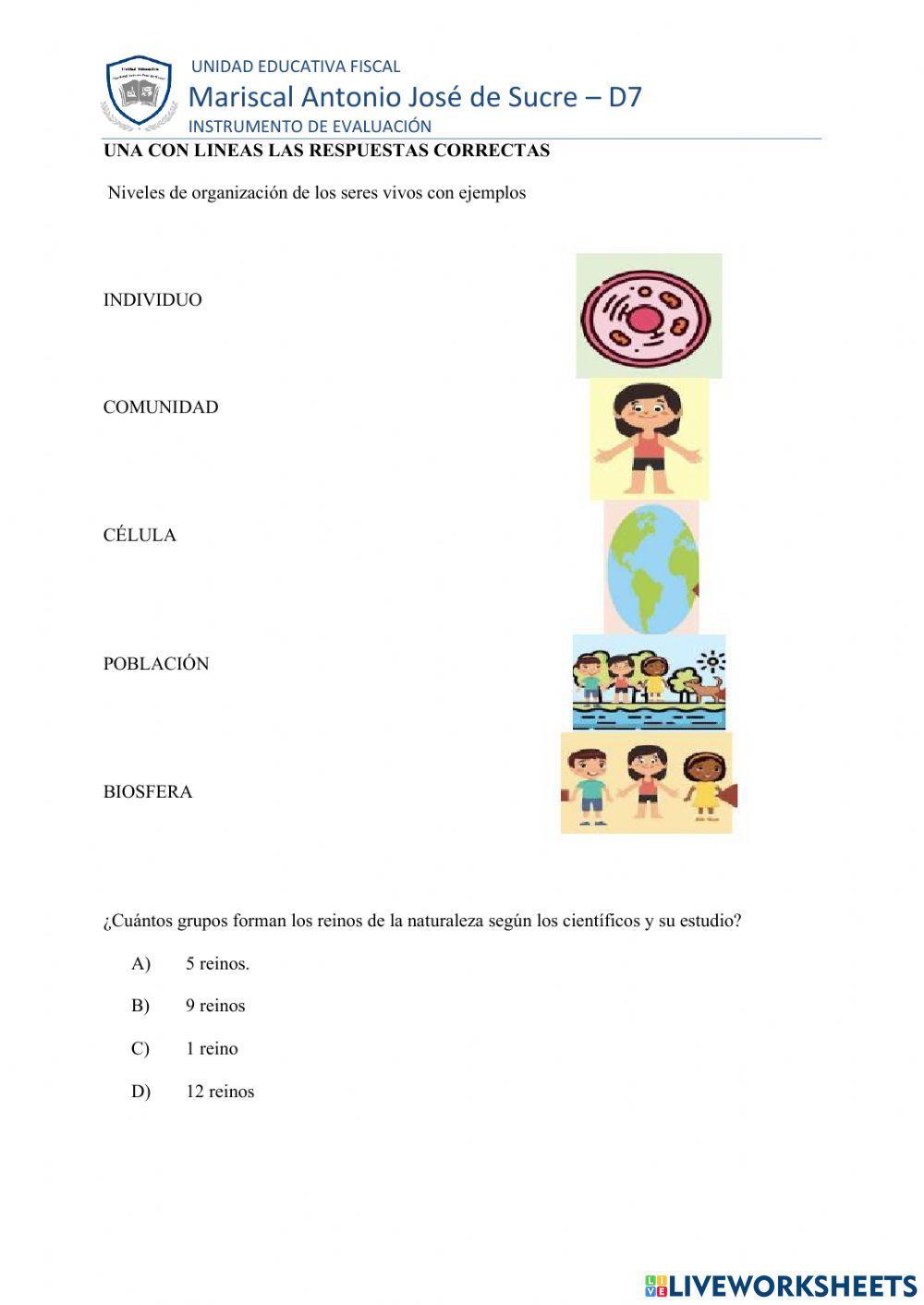EVALUACION DE REFUERZO OCTAVO PROPIEDADES SERES VIVOS