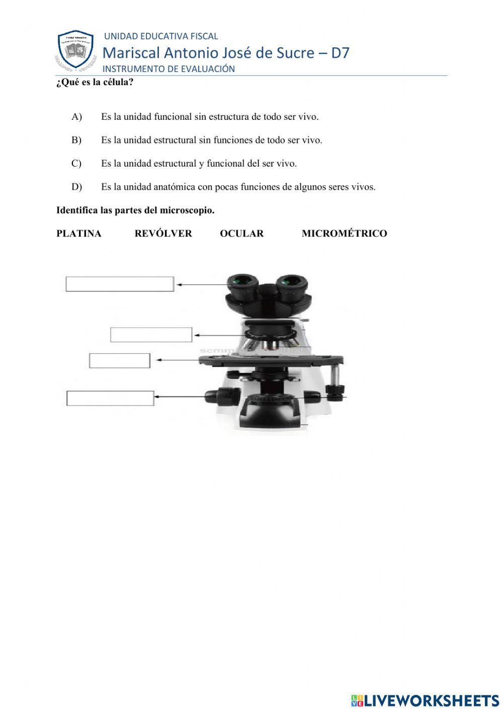 EVALUACION DE REFUERZO OCTAVO PROPIEDADES SERES VIVOS