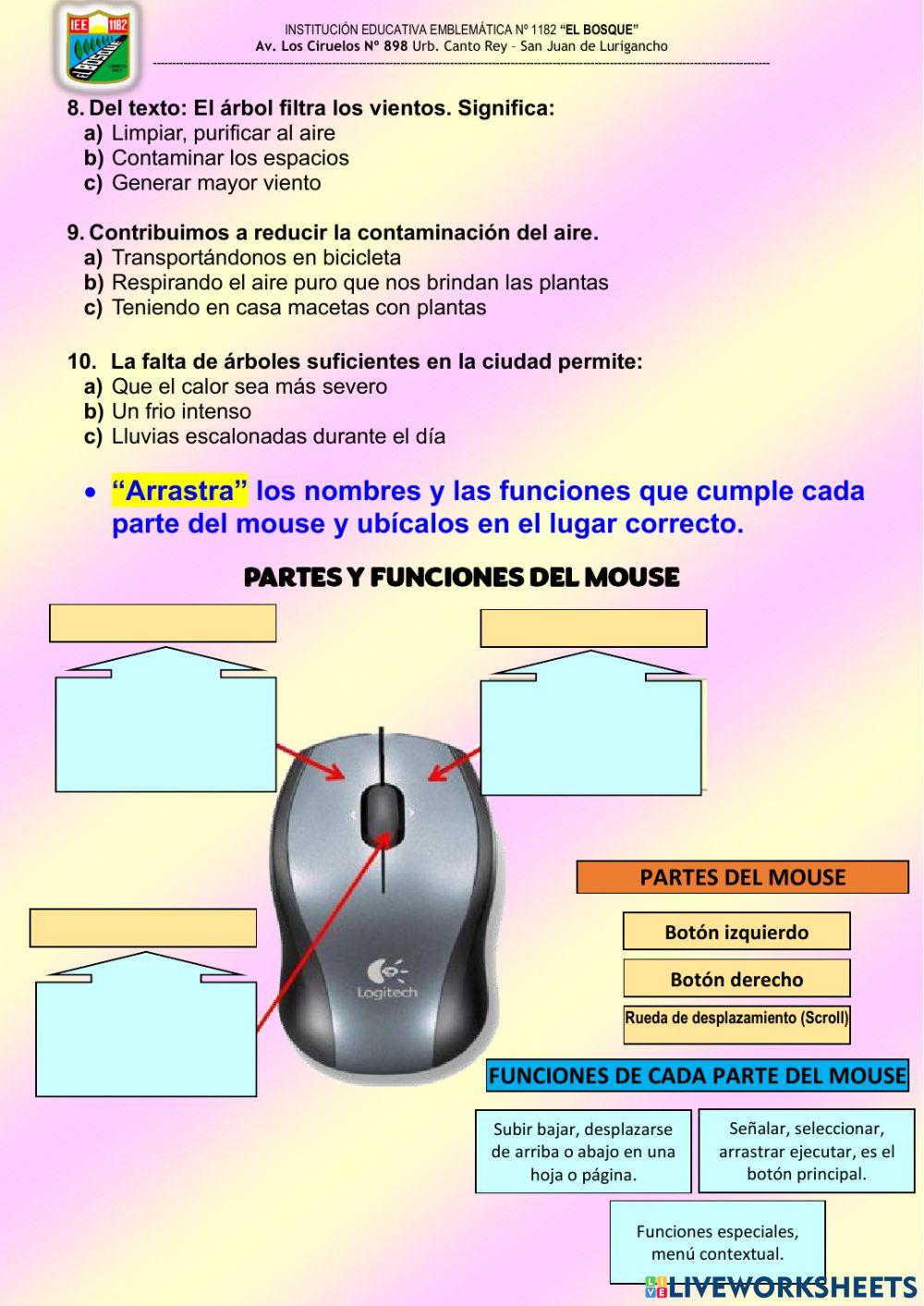 TEXTO INFORMATIVO EXPLICATIVO 5° GRADO