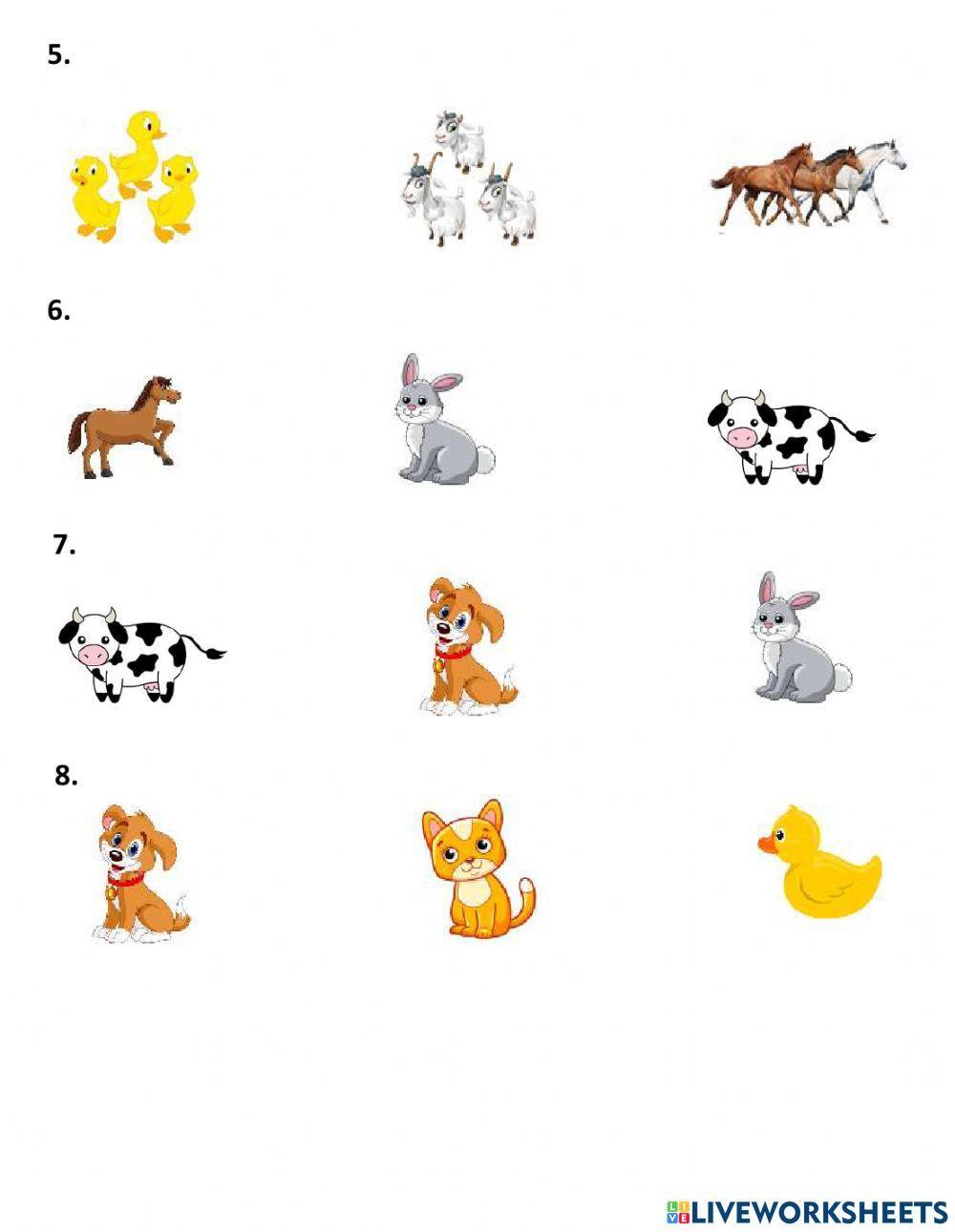 Everybody Up Starter - Unit 5