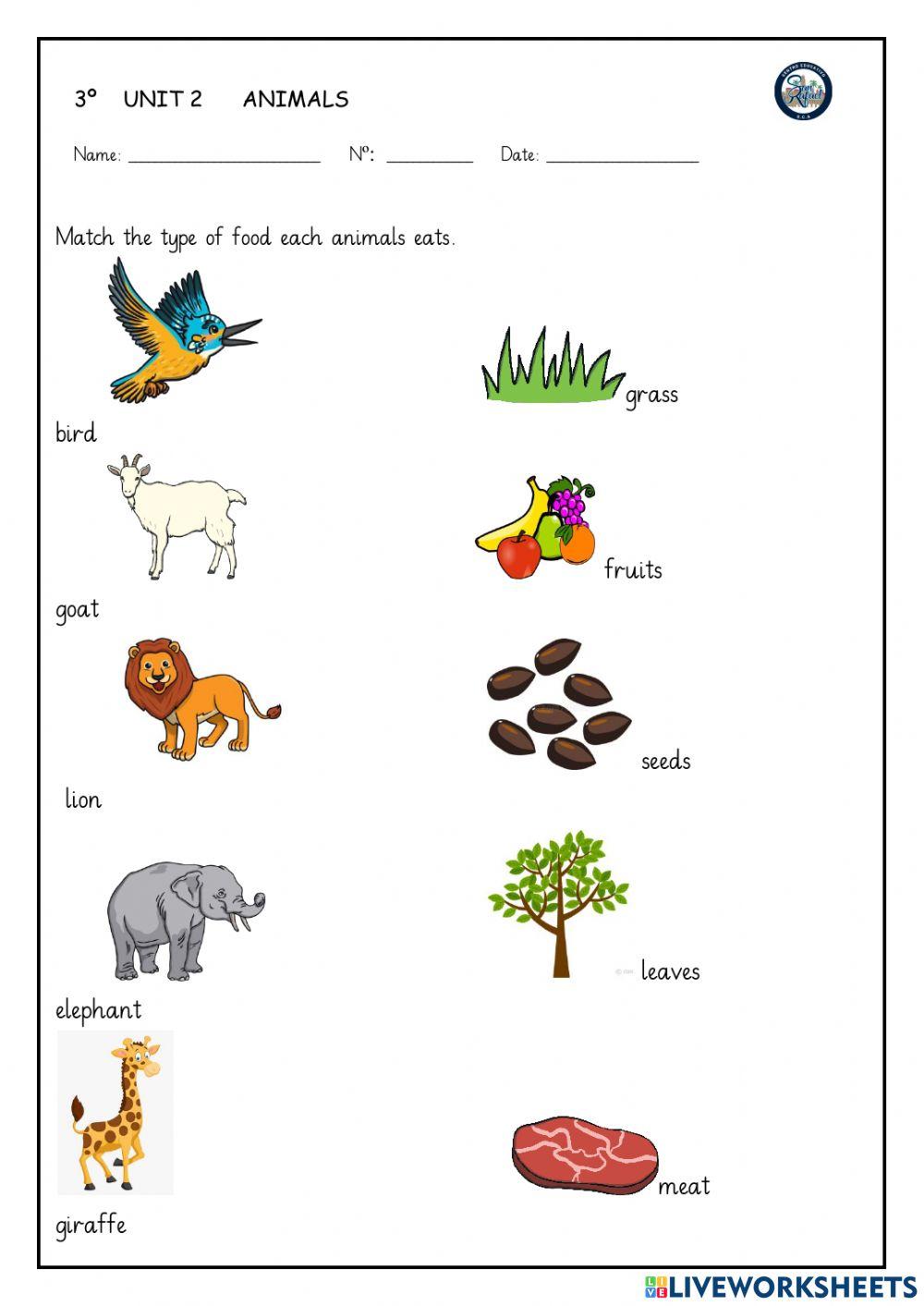 food-animals-worksheet-live-worksheets