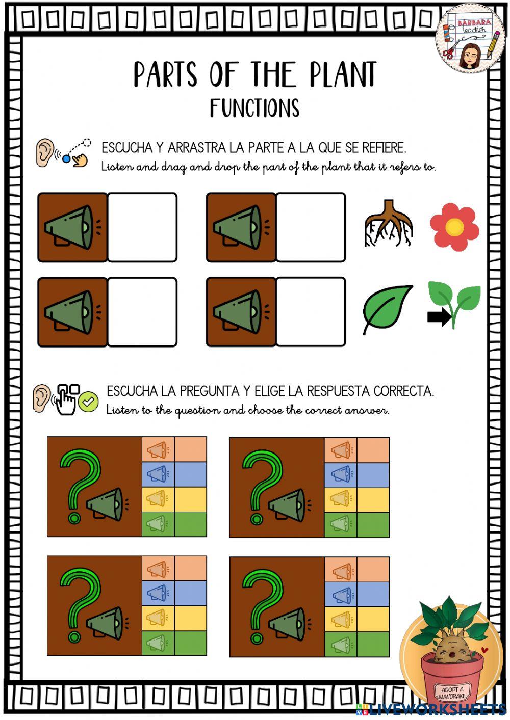 Parts of the plant functions