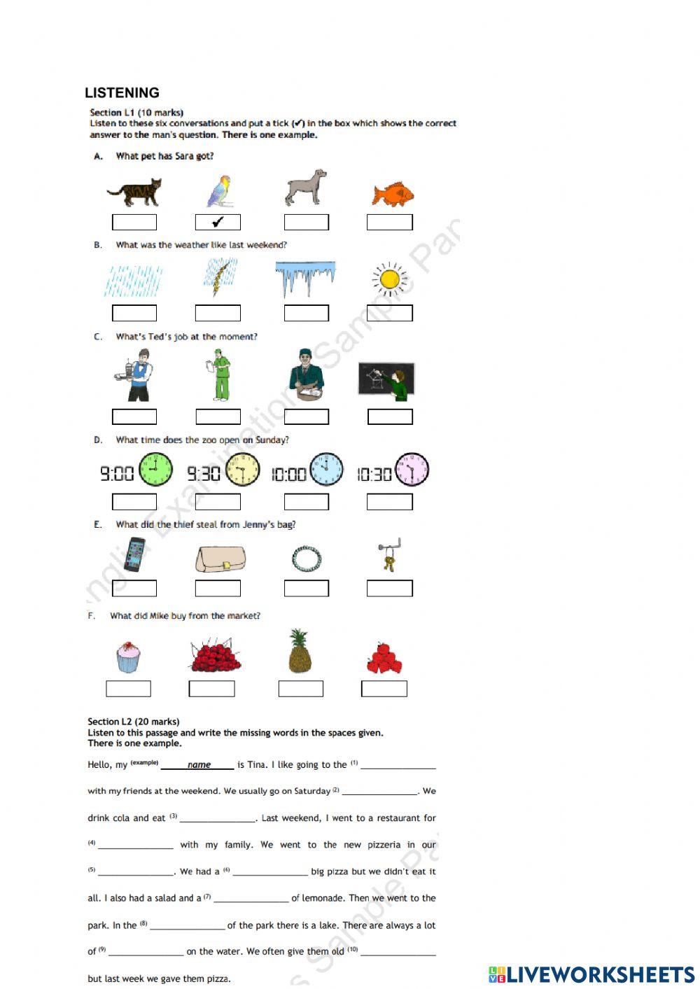 Preliminary - midterm exam
