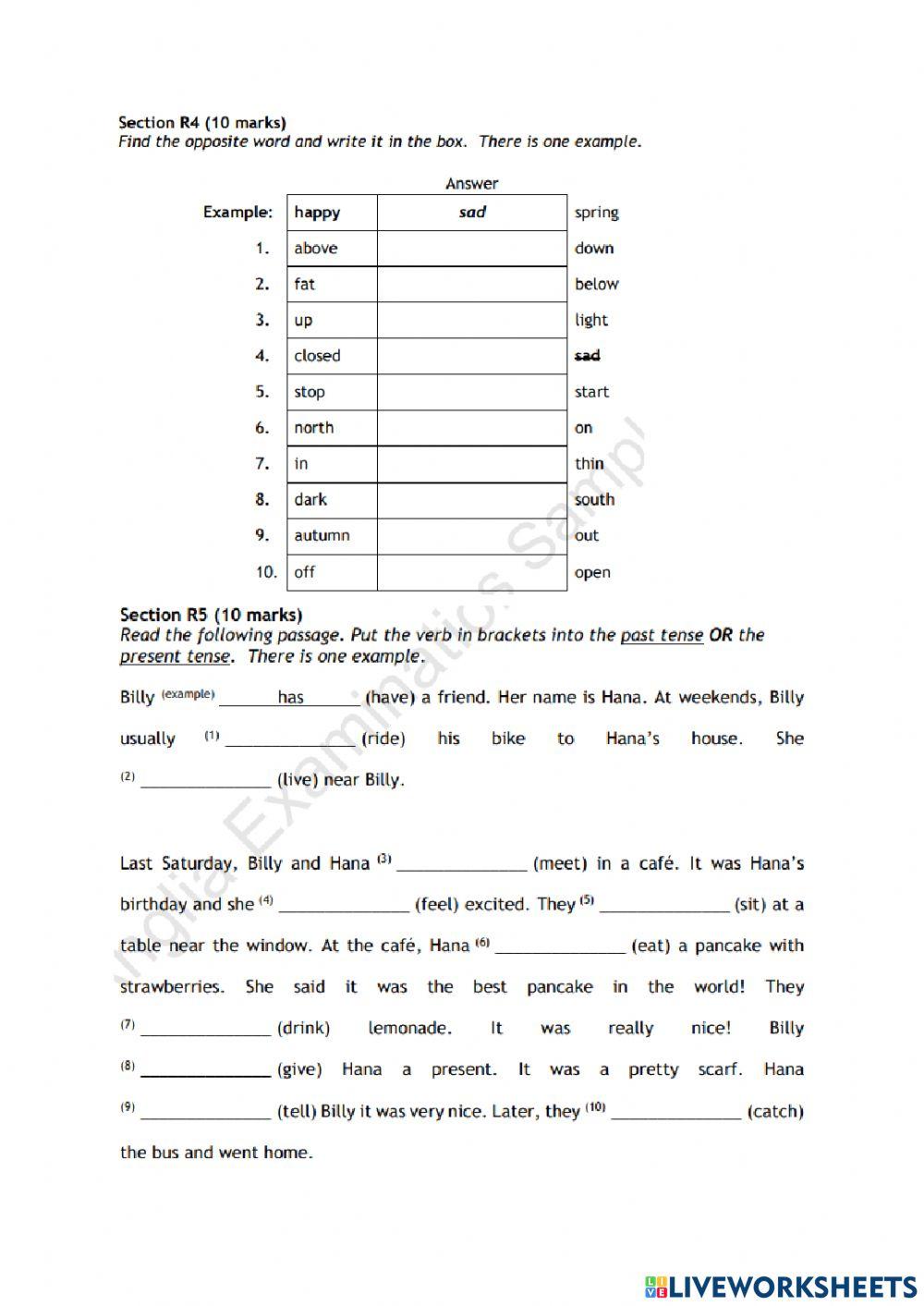 Preliminary - midterm exam