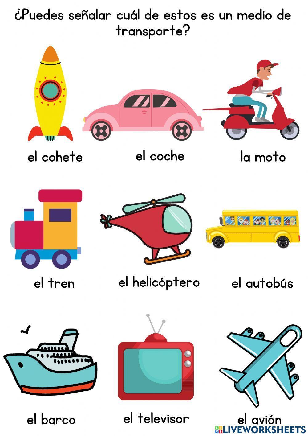 Medios de Transporte