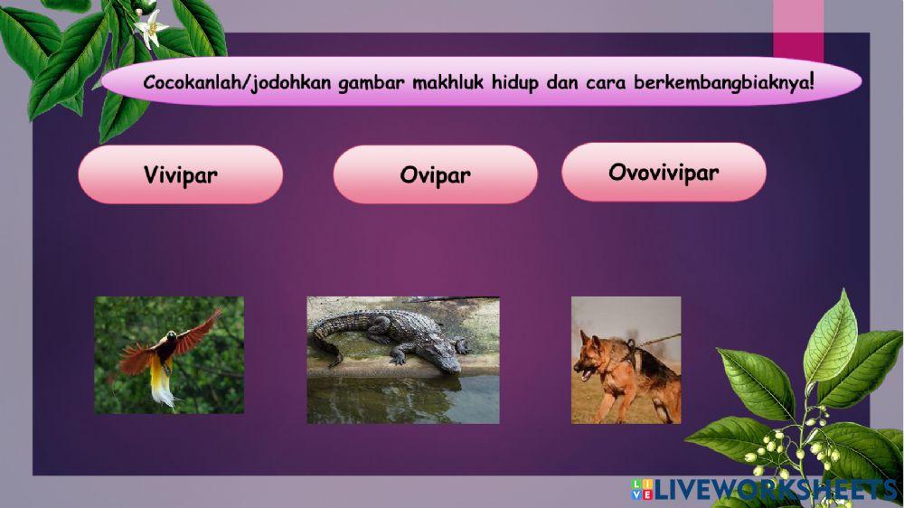 LKPD Soal Perkembangbiakan Makhluk Hidup Pada Hewan dan Tumbuhan