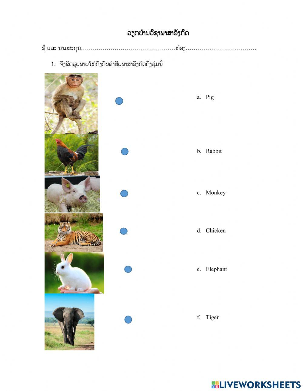 join match 2476595 | meebbsv | Live Worksheets