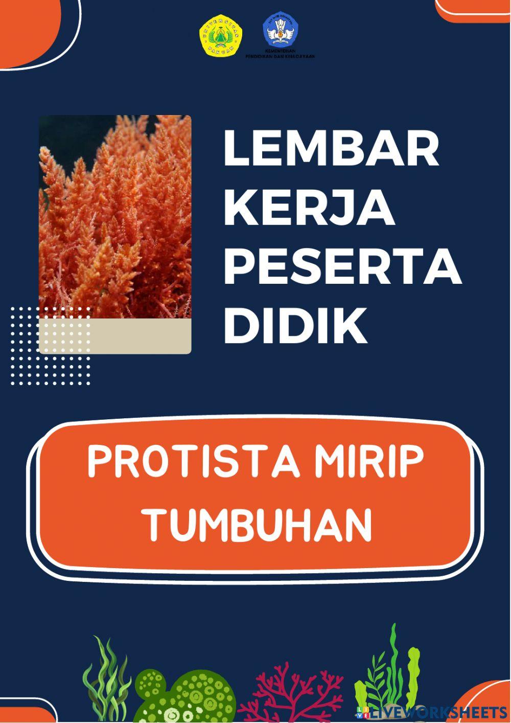 LKPD Protista Mirip Tumbuhan