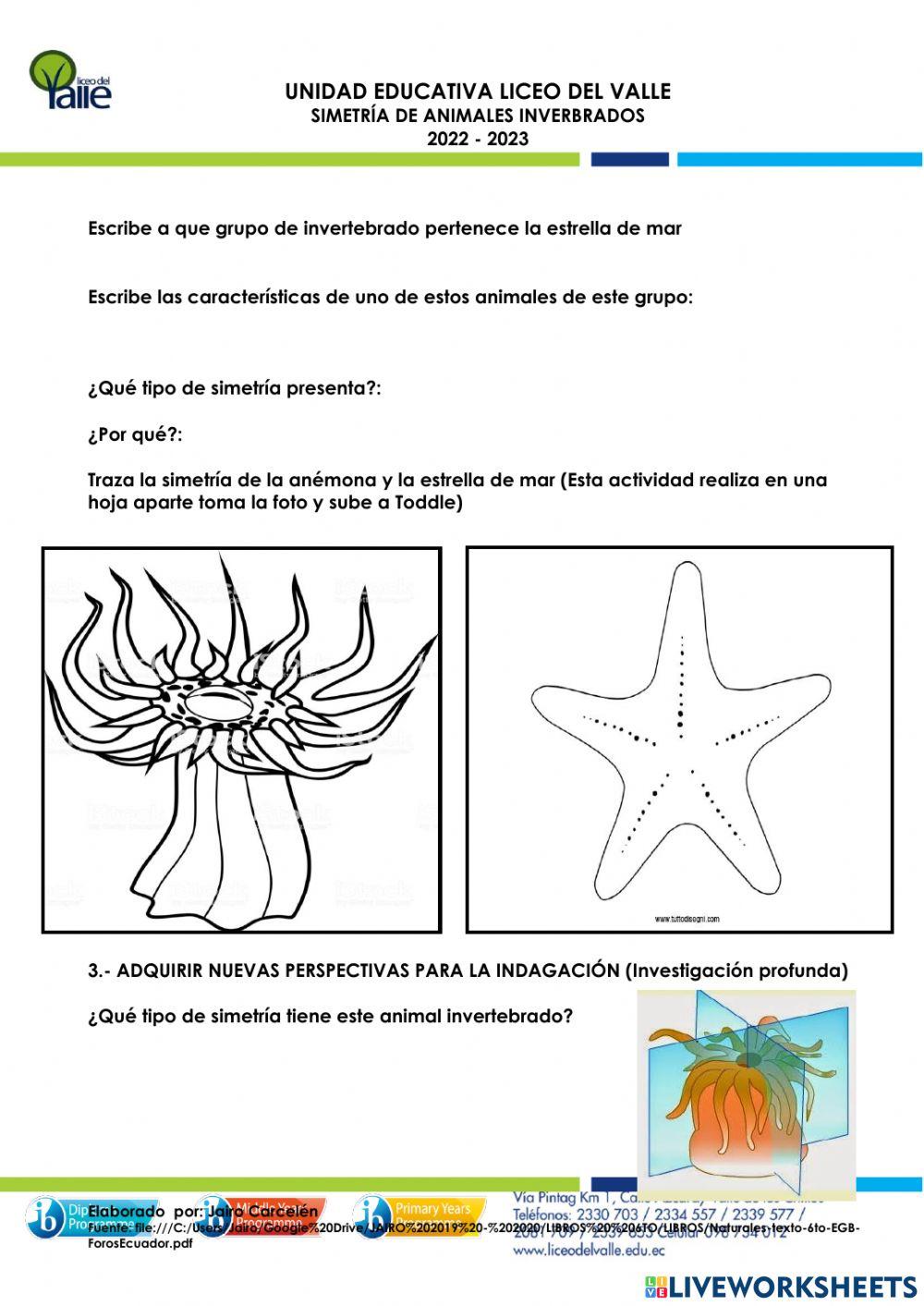 Simetría de los animales invertebrados