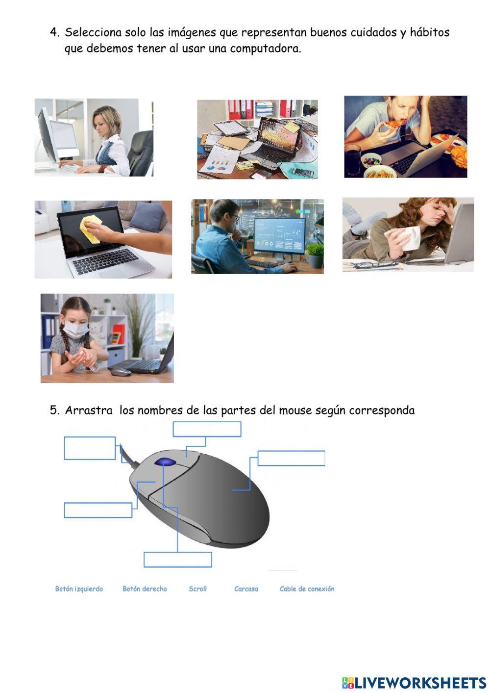 Examen 1er periodo 1º primaria