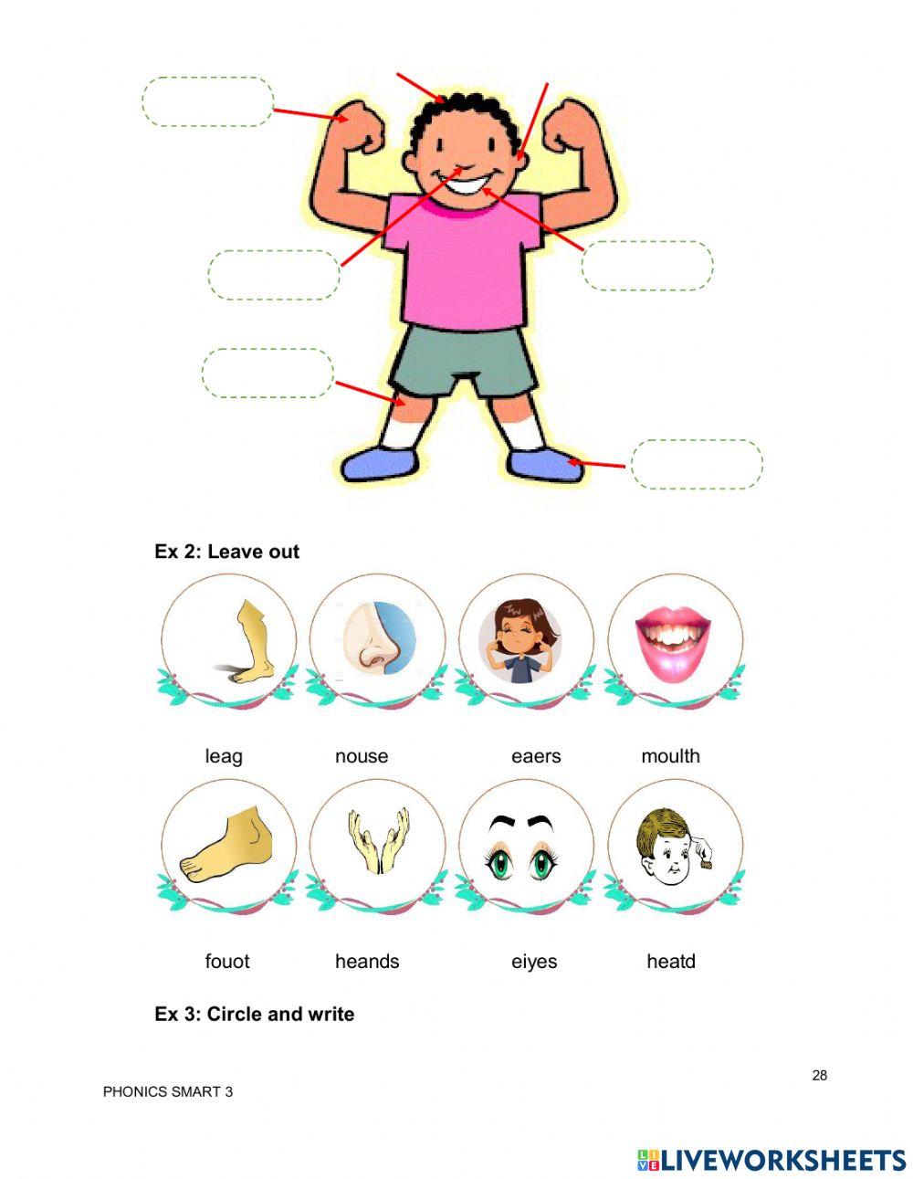 Ps3.u3 He has got blue eyes