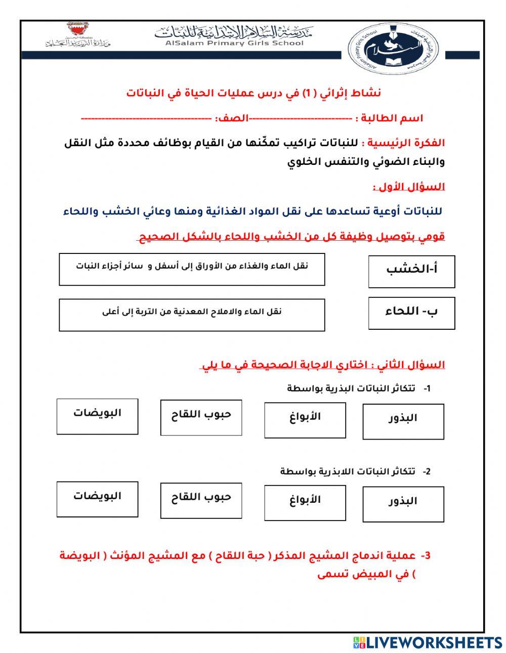 عمليات الحياة في النباتات