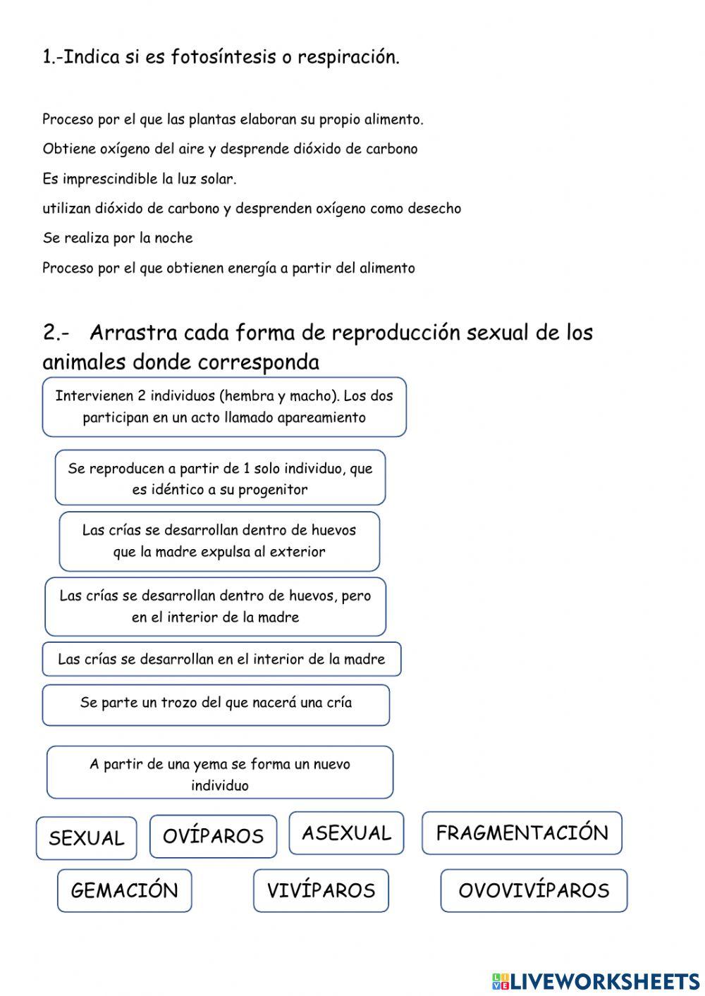 Las funciones en animales y plantas