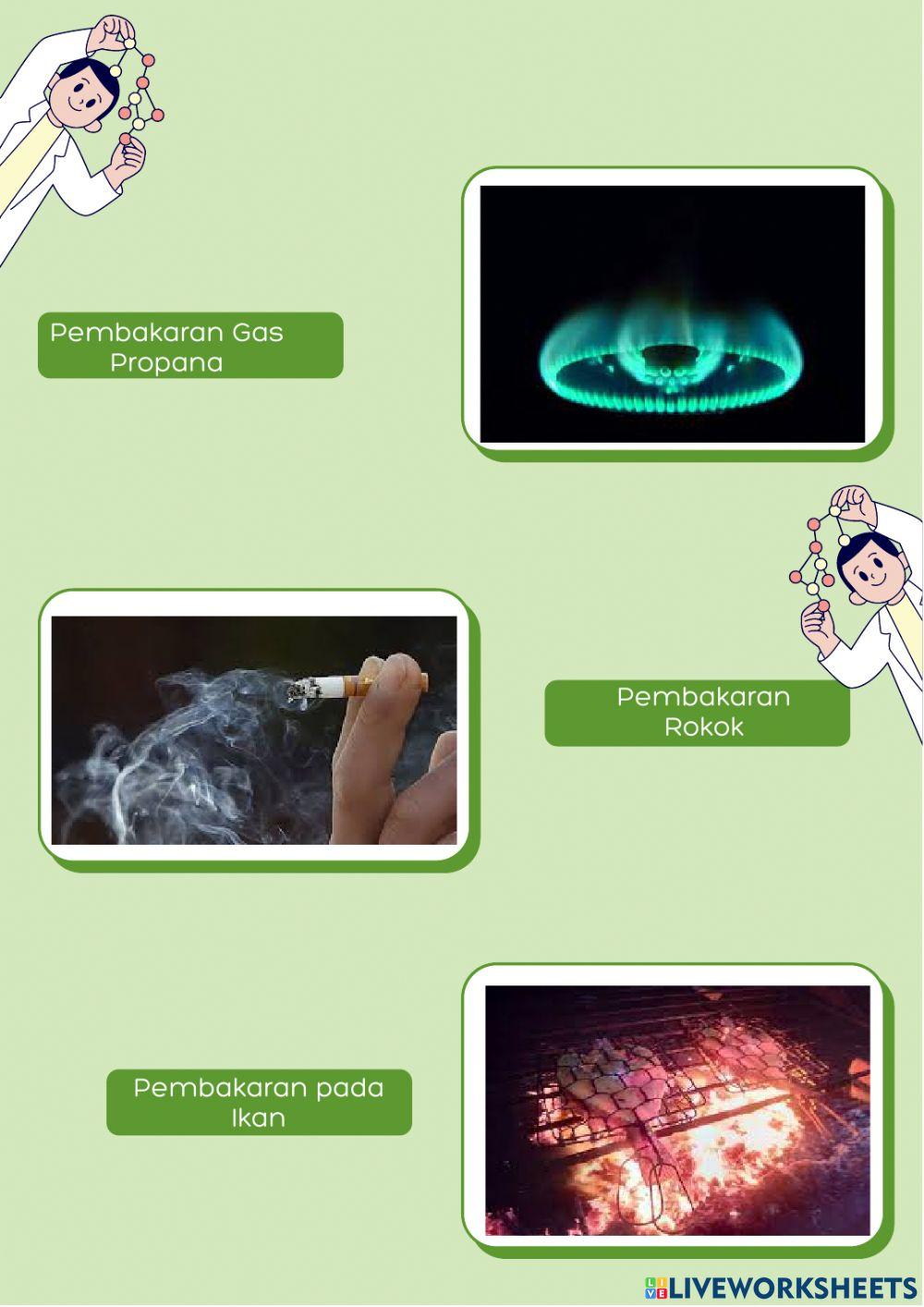 Reaksi Pembakaran Hidrokarbon