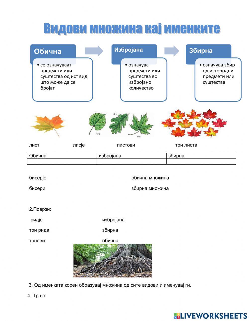 Видови множина