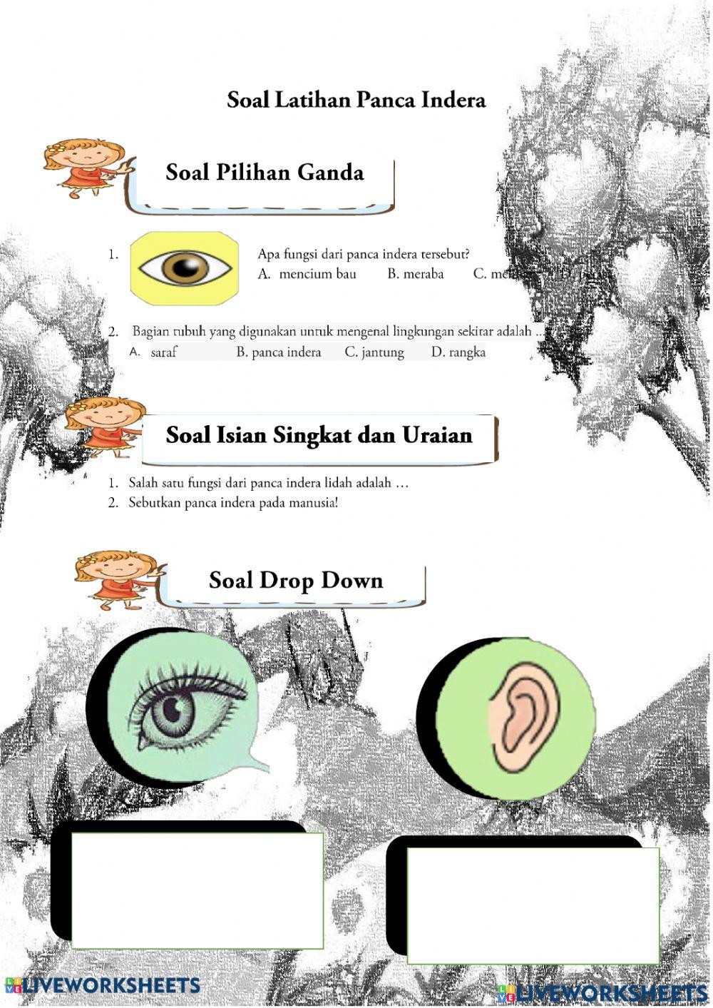 Panca Indra Fase B Kelas 4