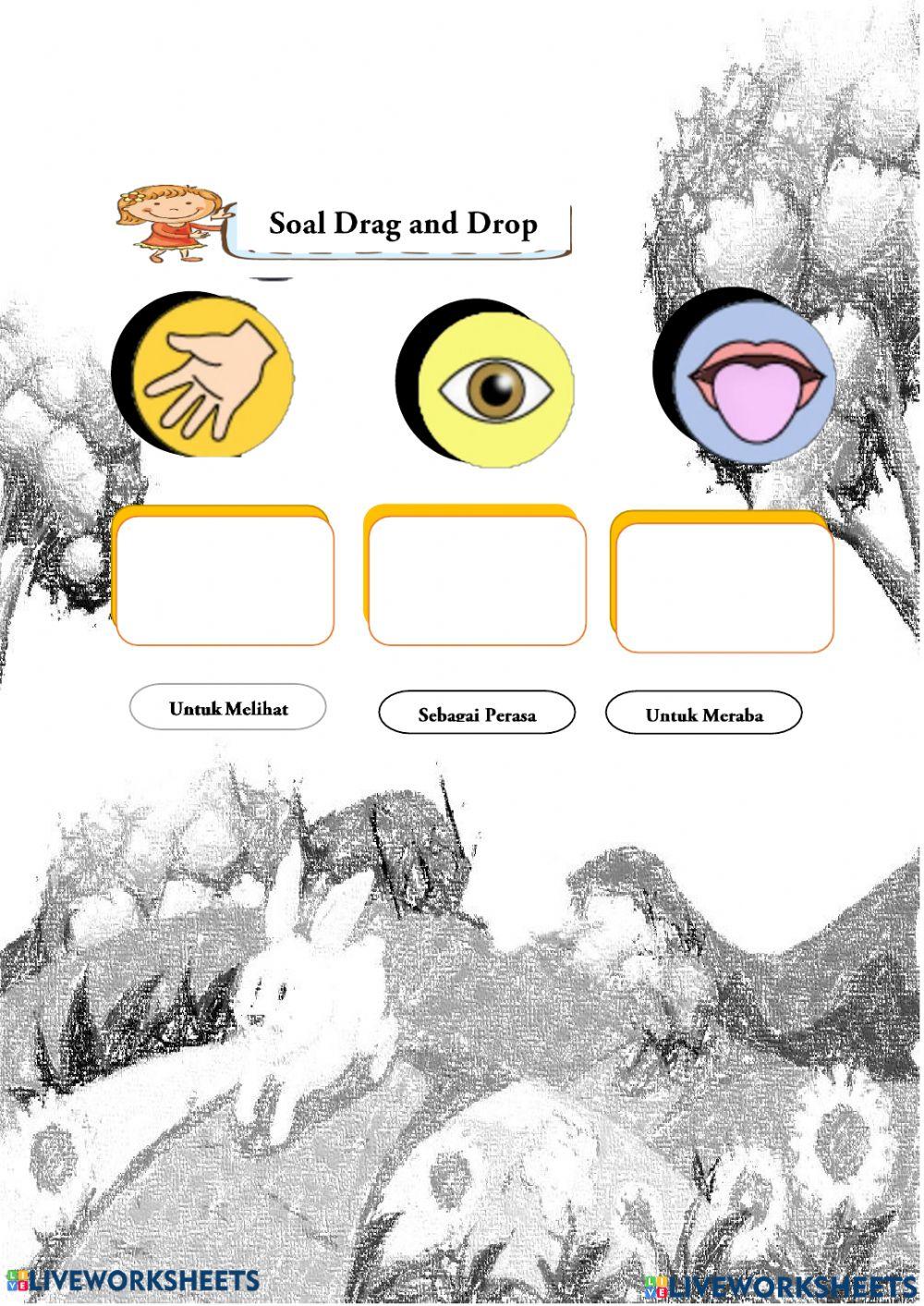 Panca Indra Fase B Kelas 4