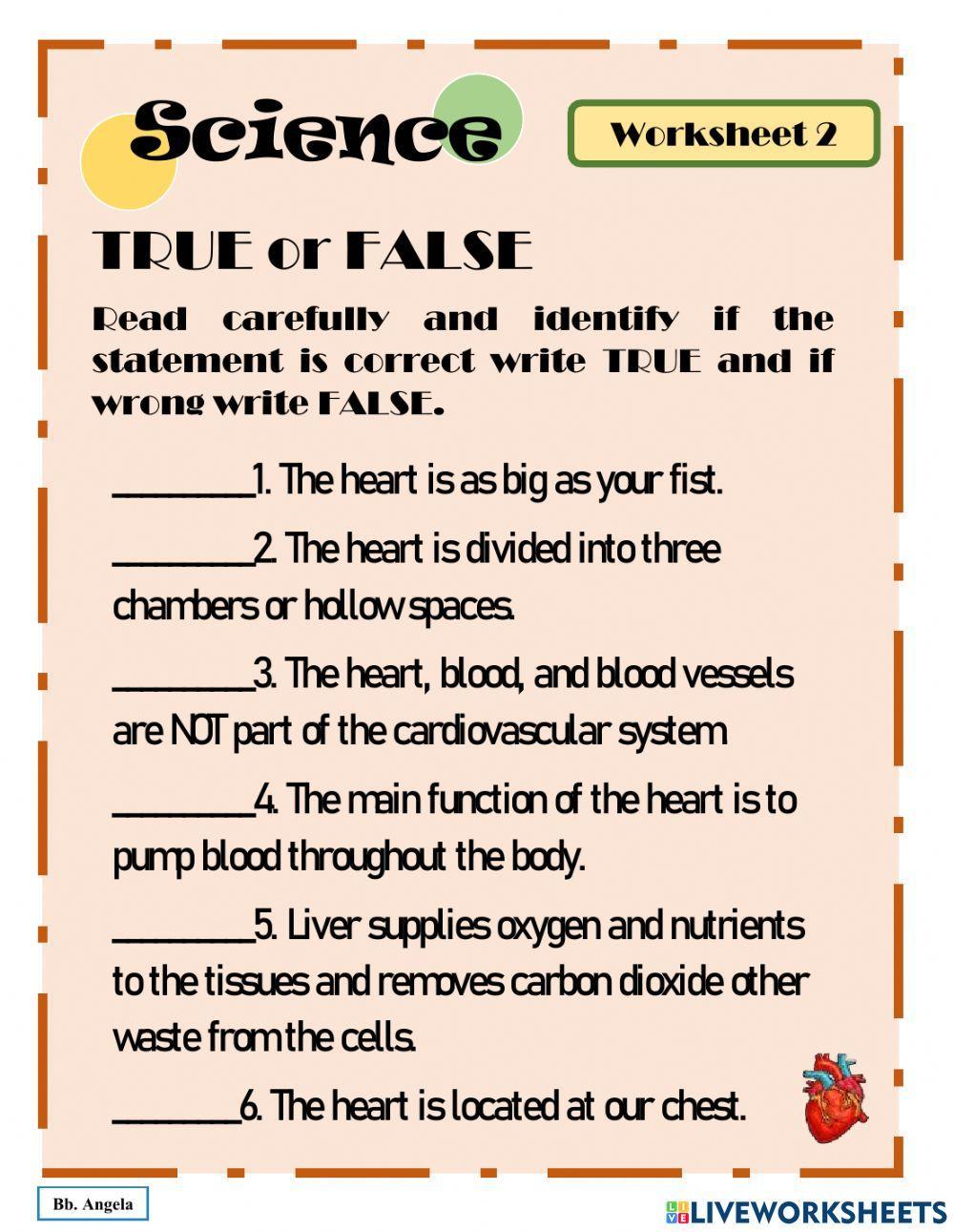 Major Organs of the Body