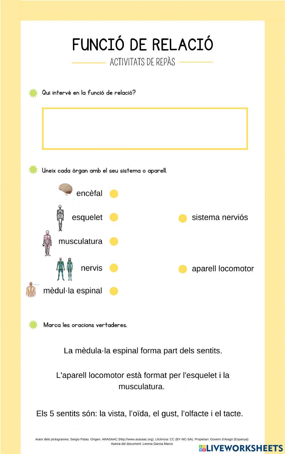 Repàs funció de relació