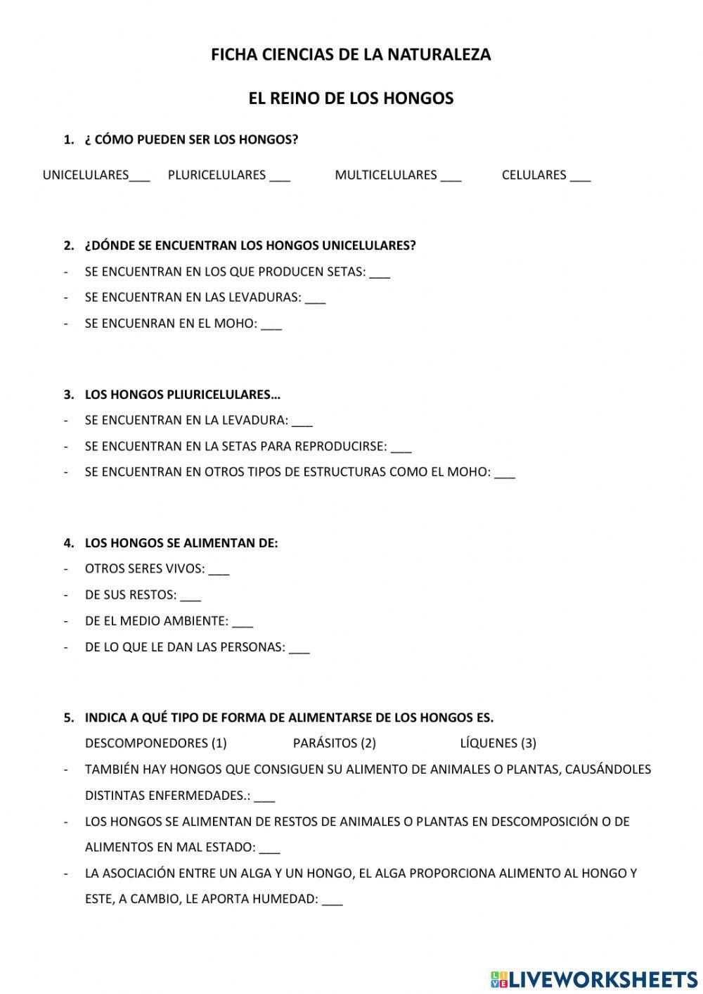 El reino de los hongos