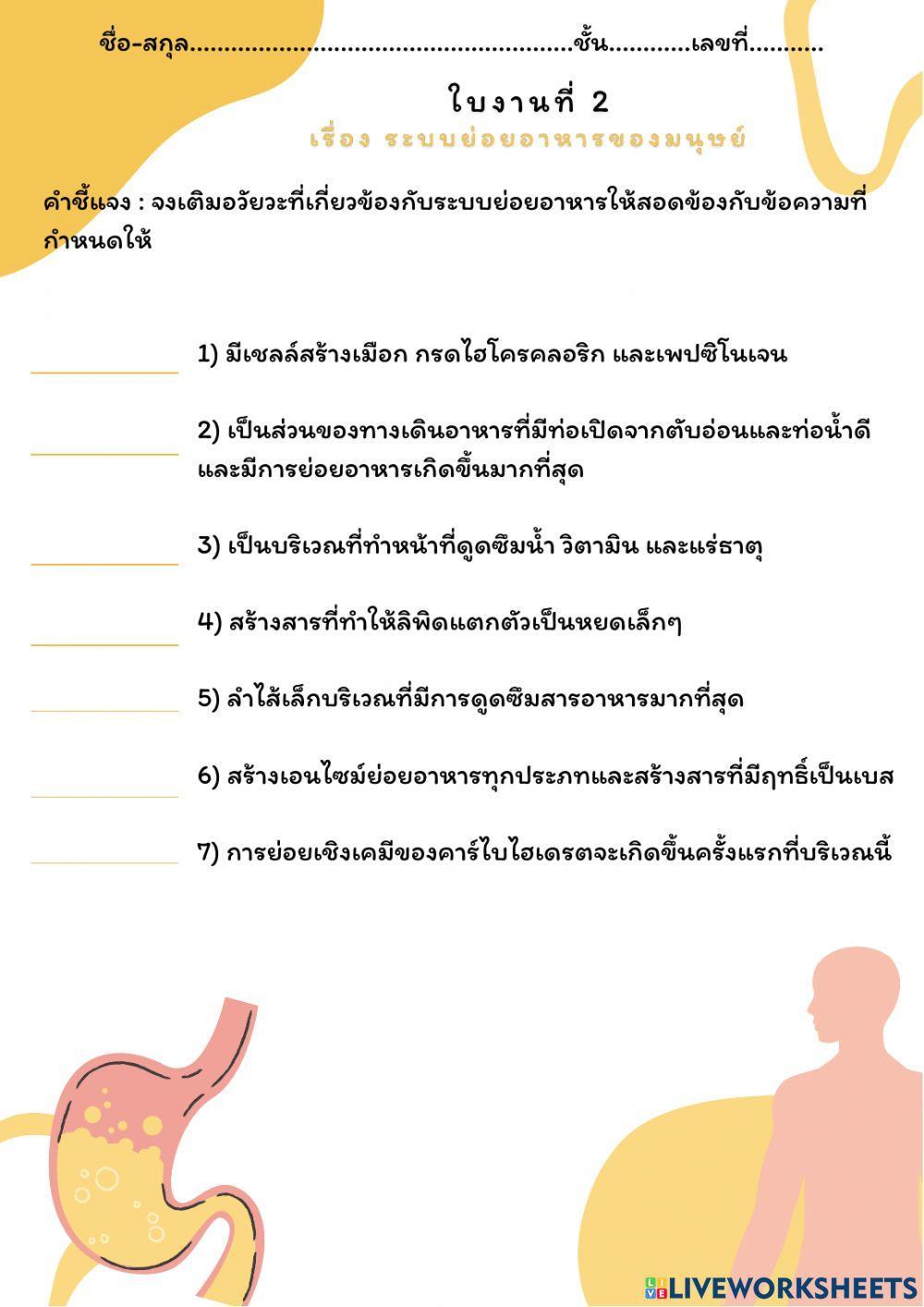 ใบงาน ระบบย่อยอาหารของมนุษย์