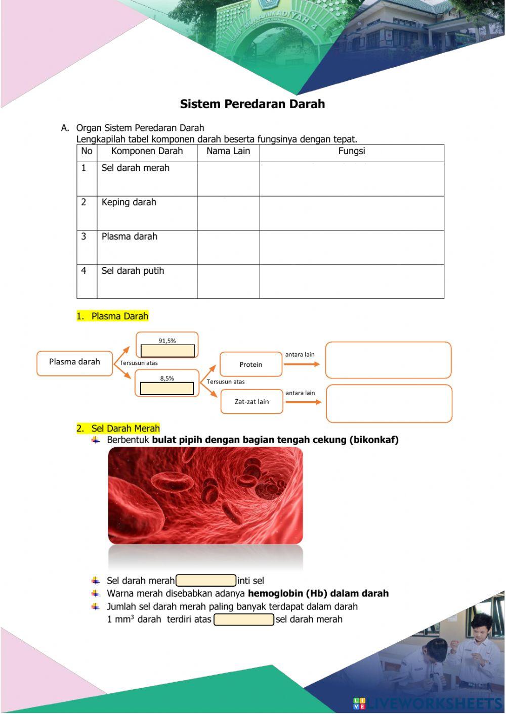 LKPD Sistem Peredaran Darah I