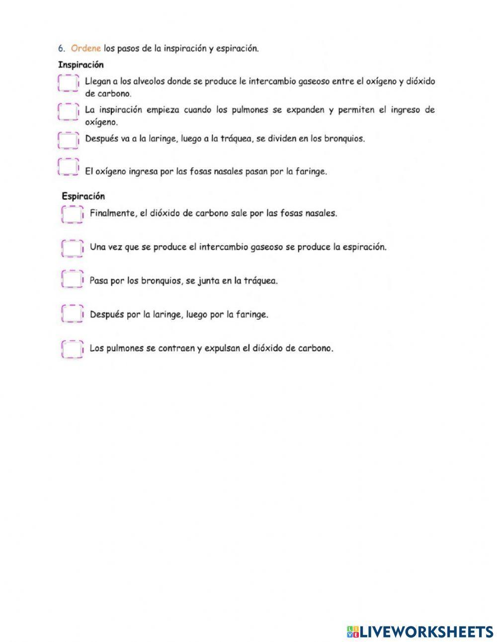 Evaluación - Sistema respiratorio