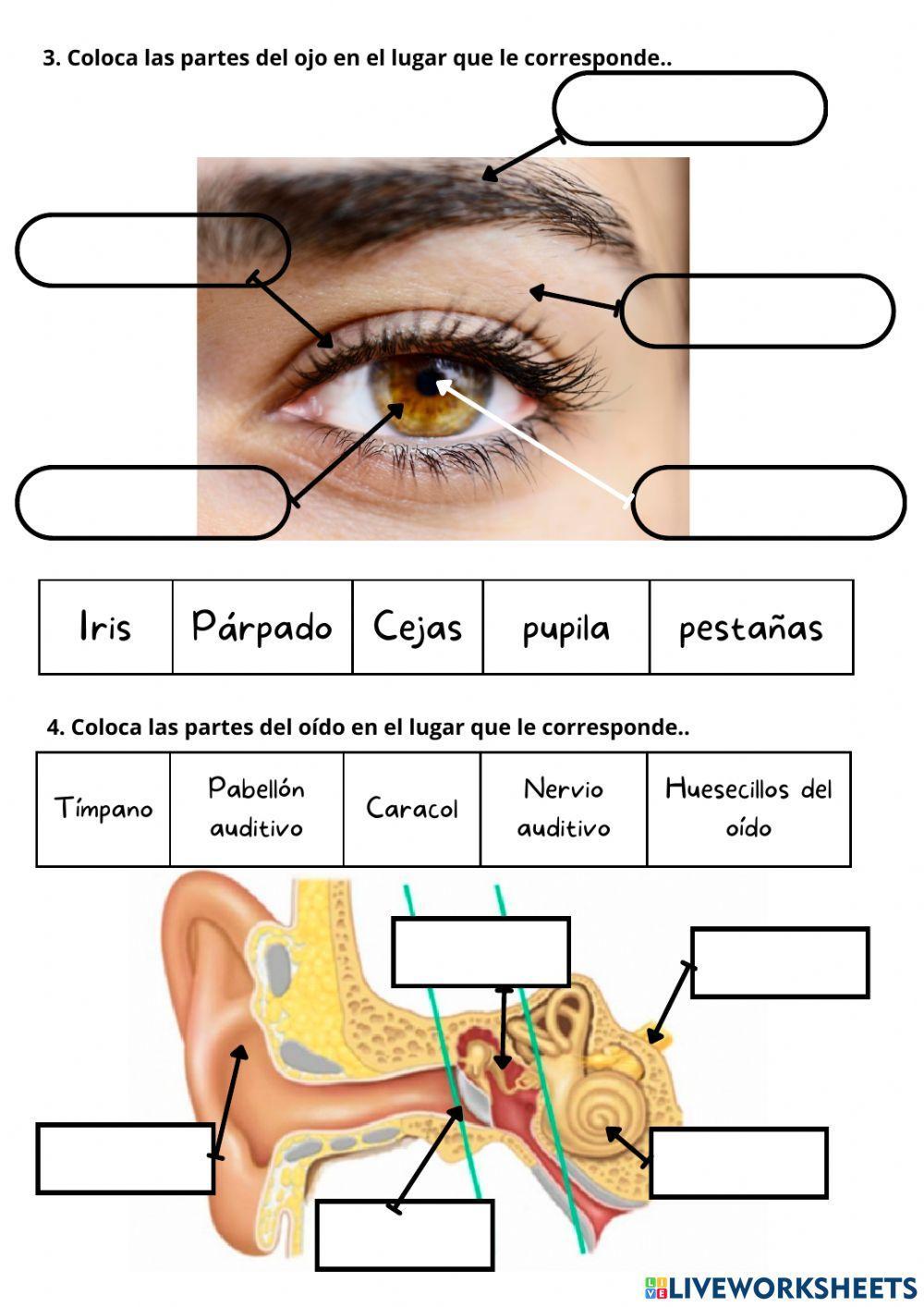 Función de Relación