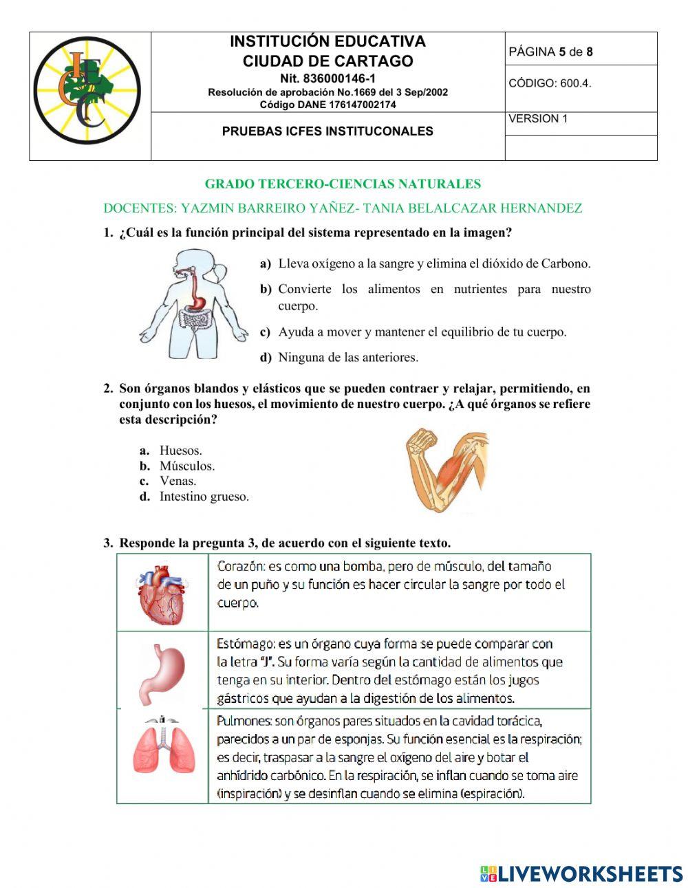 Pruebas institucionales