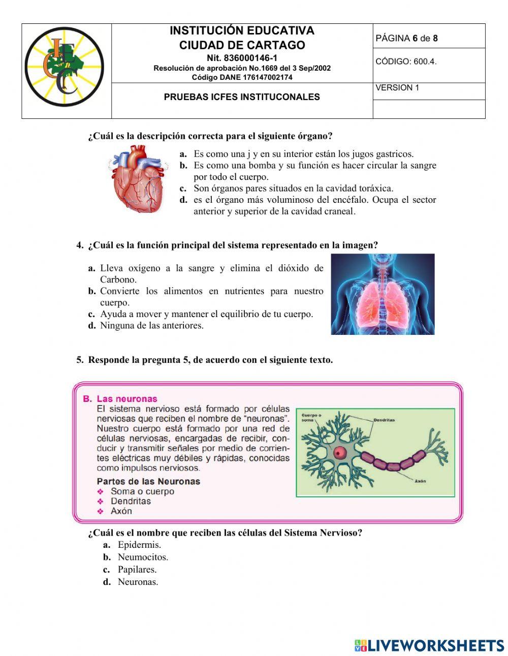 Pruebas institucionales