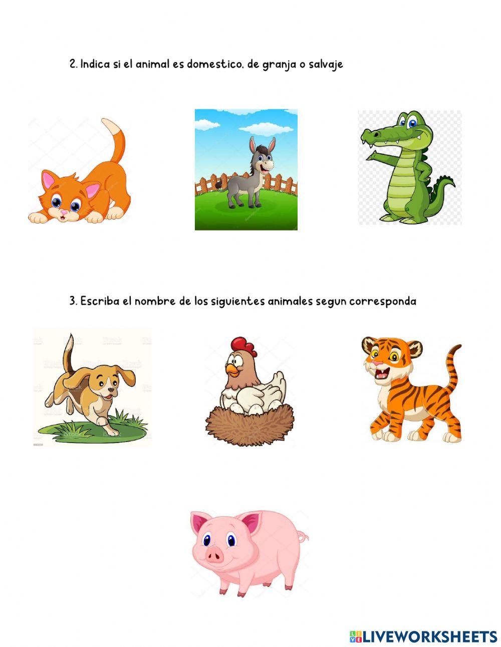 Animales domesticos, de granja y salvajes