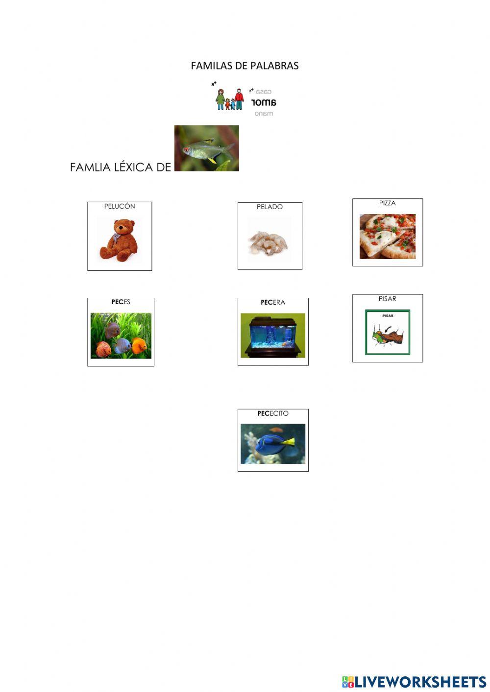 Familia léxica 9