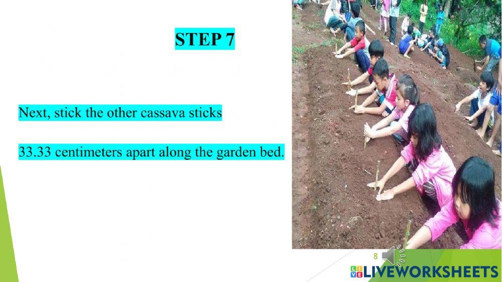 Planting Cassava Part One