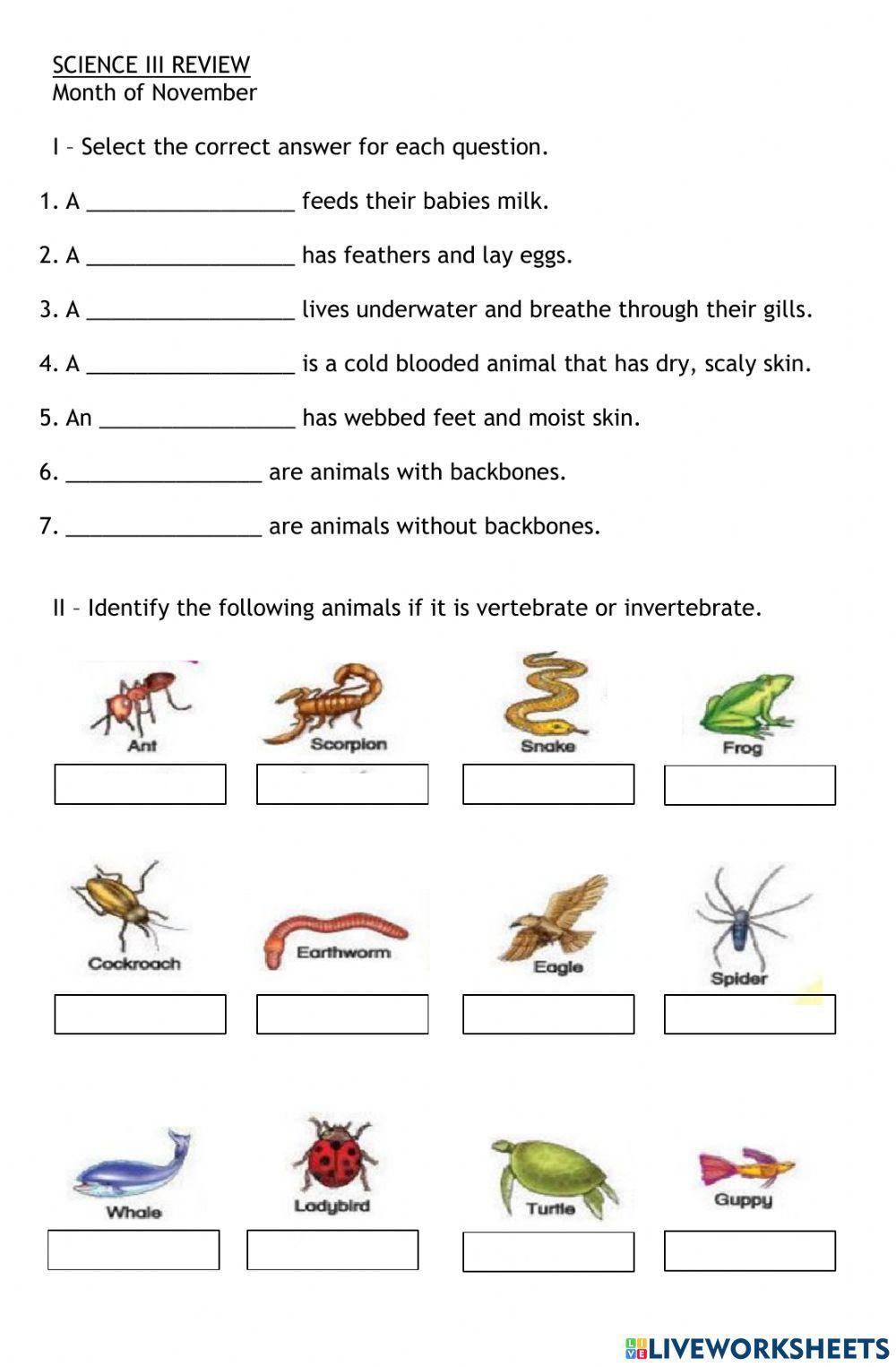 Vertebrates and invertebrates