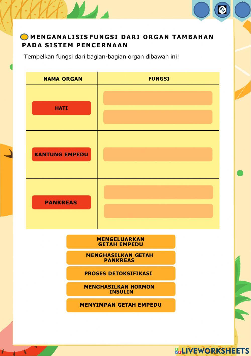 Lkpd sistem pencernaan