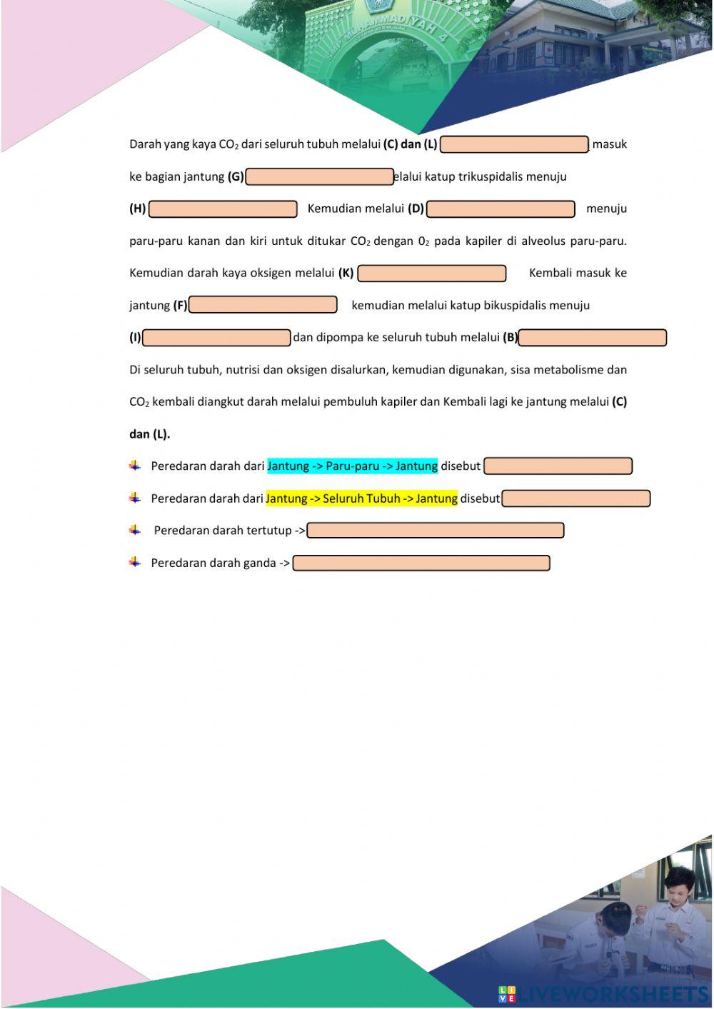 LKPD Sistem Peredaran Darah II