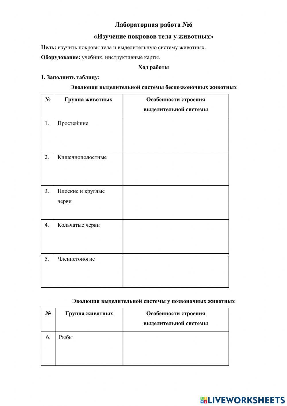 Лабораторная работа №6